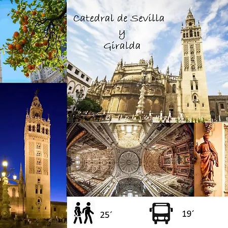 Апартаменты Sleepin Triana